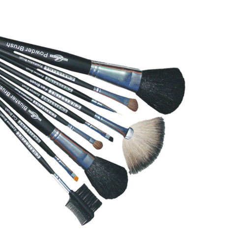 Professional Brush Kit